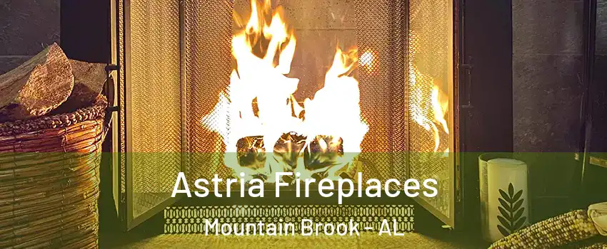  Astria Fireplaces Mountain Brook - AL