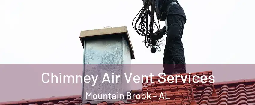  Chimney Air Vent Services Mountain Brook - AL
