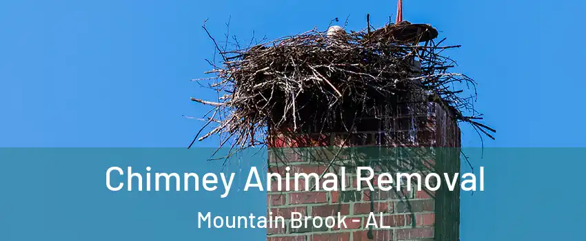 Chimney Animal Removal Mountain Brook - AL