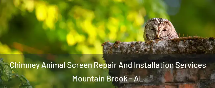  Chimney Animal Screen Repair And Installation Services Mountain Brook - AL