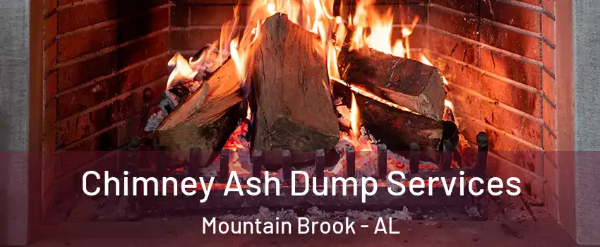  Chimney Ash Dump Services Mountain Brook - AL
