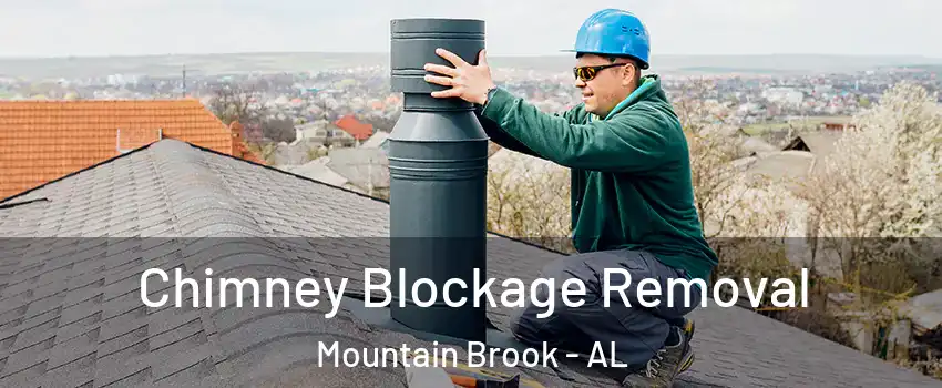  Chimney Blockage Removal Mountain Brook - AL