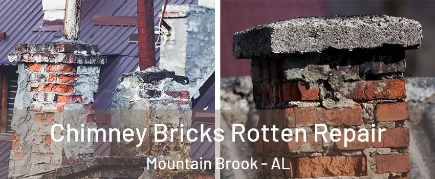  Chimney Bricks Rotten Repair Mountain Brook - AL