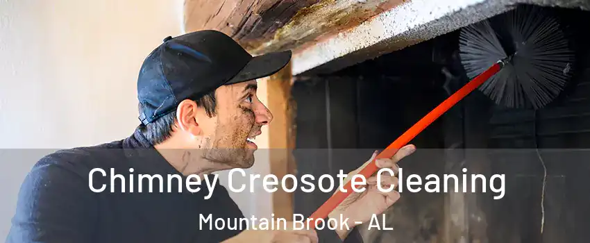  Chimney Creosote Cleaning Mountain Brook - AL