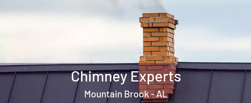 Chimney Experts Mountain Brook - AL