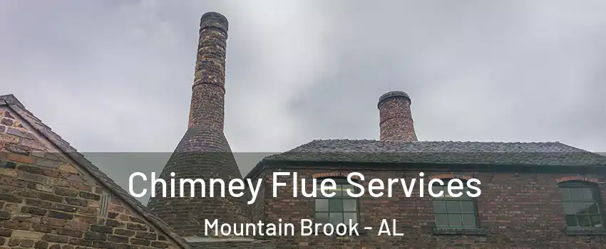  Chimney Flue Services Mountain Brook - AL