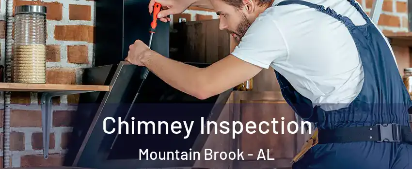  Chimney Inspection Mountain Brook - AL
