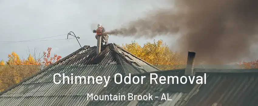  Chimney Odor Removal Mountain Brook - AL