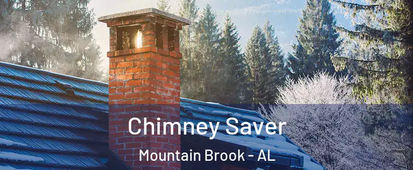  Chimney Saver Mountain Brook - AL