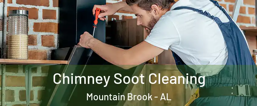  Chimney Soot Cleaning Mountain Brook - AL