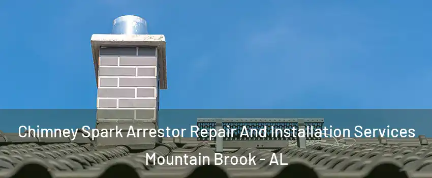  Chimney Spark Arrestor Repair And Installation Services Mountain Brook - AL