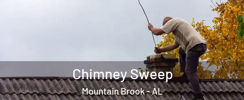  Chimney Sweep Mountain Brook - AL