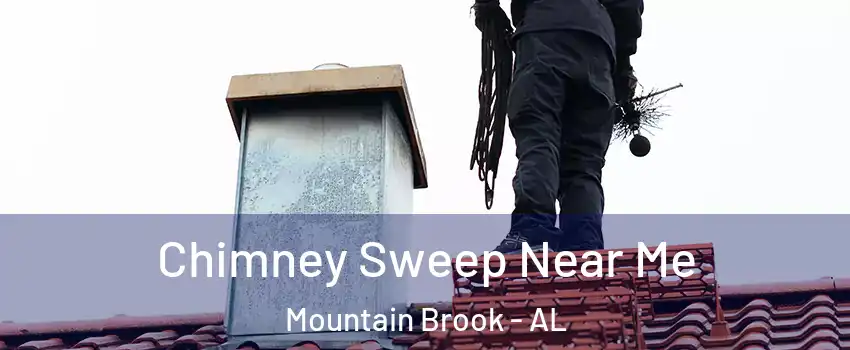  Chimney Sweep Near Me Mountain Brook - AL