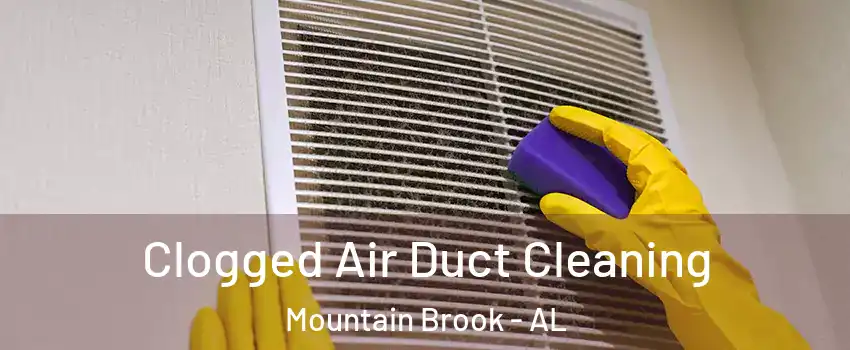  Clogged Air Duct Cleaning Mountain Brook - AL