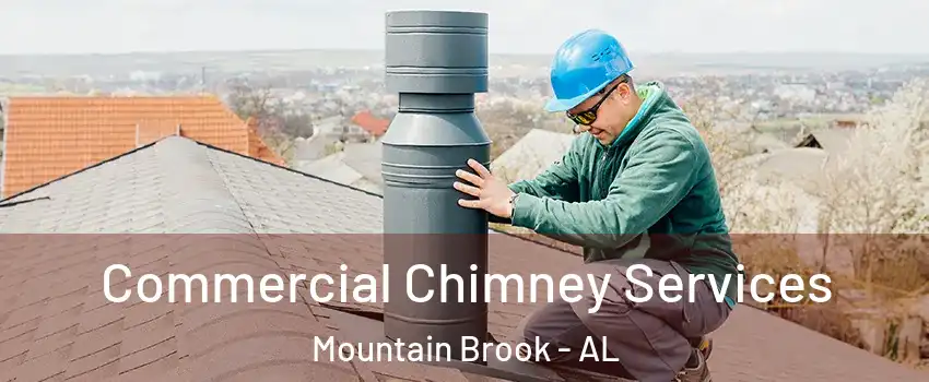  Commercial Chimney Services Mountain Brook - AL