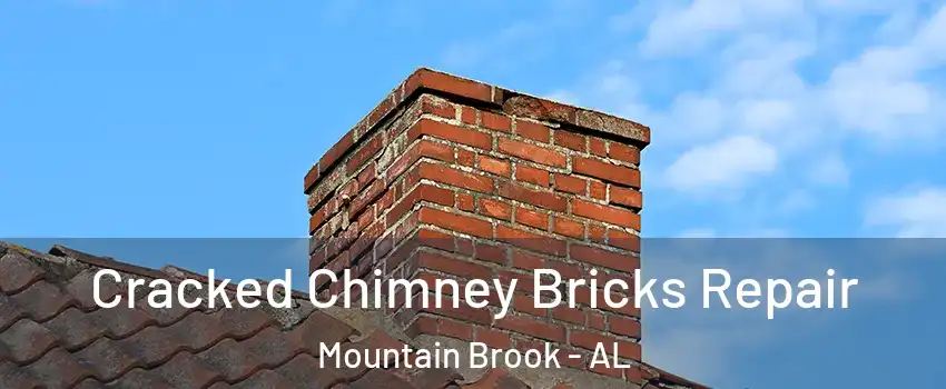  Cracked Chimney Bricks Repair Mountain Brook - AL