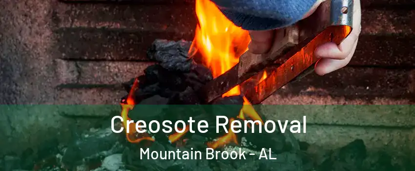 Creosote Removal Mountain Brook - AL