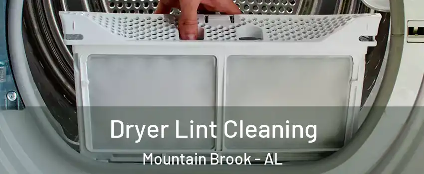  Dryer Lint Cleaning Mountain Brook - AL