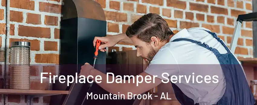  Fireplace Damper Services Mountain Brook - AL