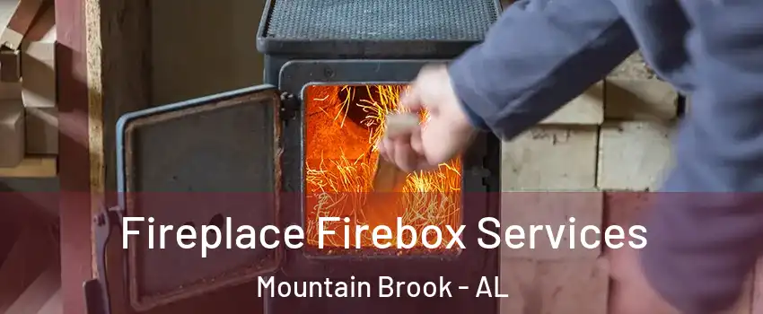  Fireplace Firebox Services Mountain Brook - AL