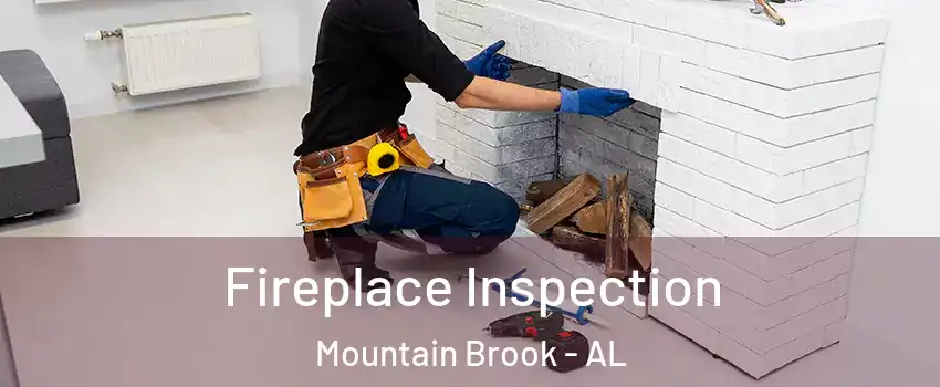  Fireplace Inspection Mountain Brook - AL