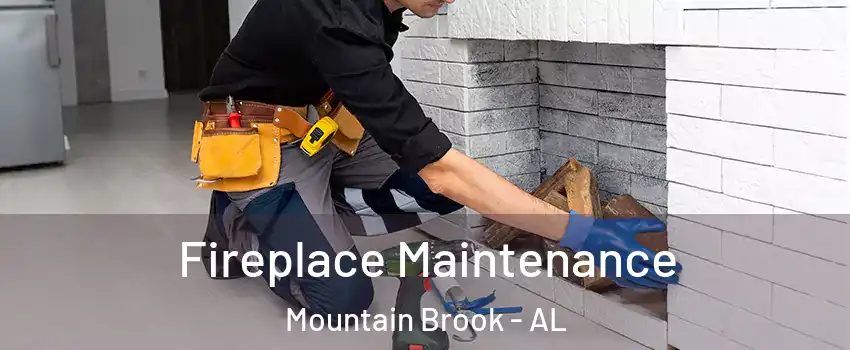  Fireplace Maintenance Mountain Brook - AL