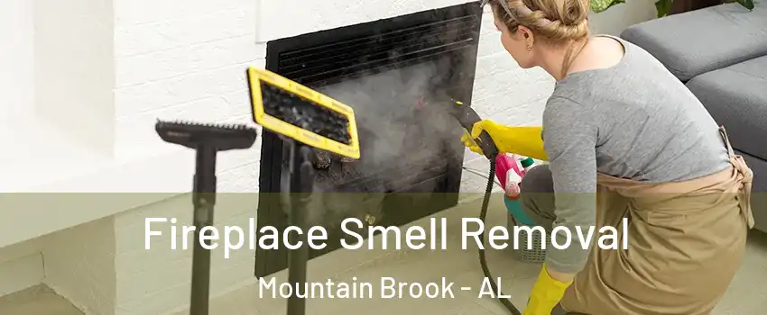  Fireplace Smell Removal Mountain Brook - AL