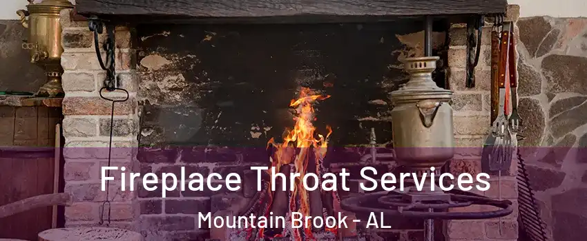  Fireplace Throat Services Mountain Brook - AL