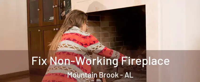  Fix Non-Working Fireplace Mountain Brook - AL
