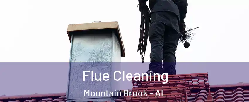  Flue Cleaning Mountain Brook - AL