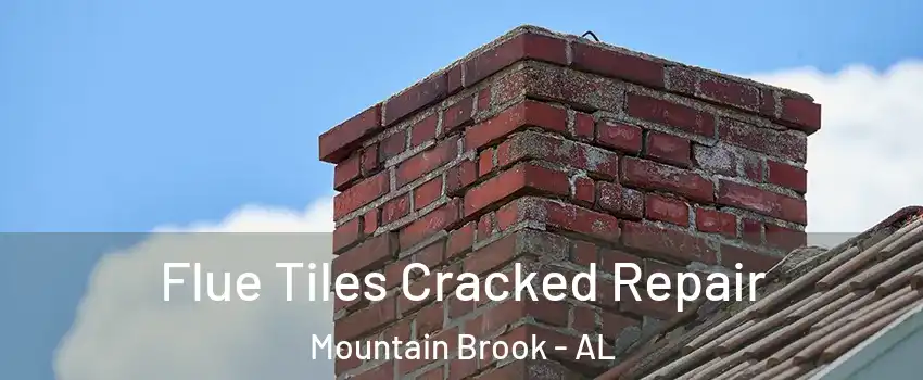  Flue Tiles Cracked Repair Mountain Brook - AL