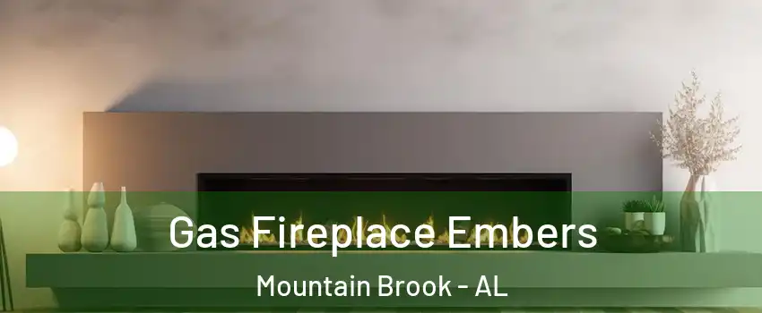  Gas Fireplace Embers Mountain Brook - AL