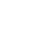Professional Chimney Flue Installation in Mountain Brook, Alabama