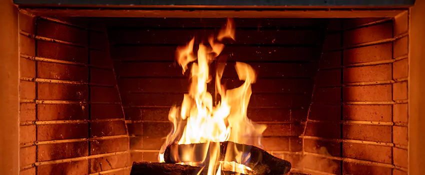 Soot Cleanup Services in Mountain Brook, AL