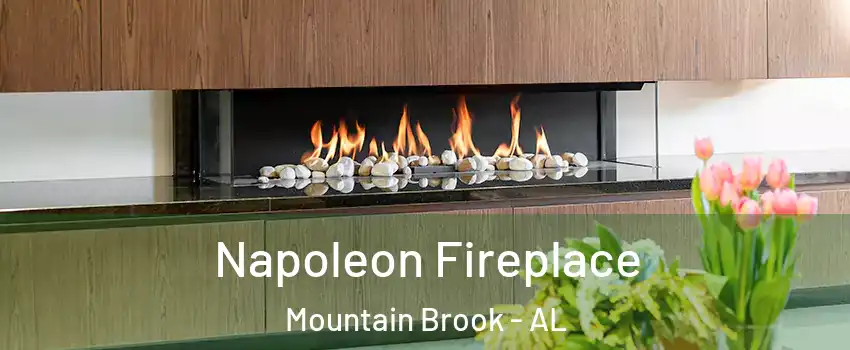  Napoleon Fireplace Mountain Brook - AL