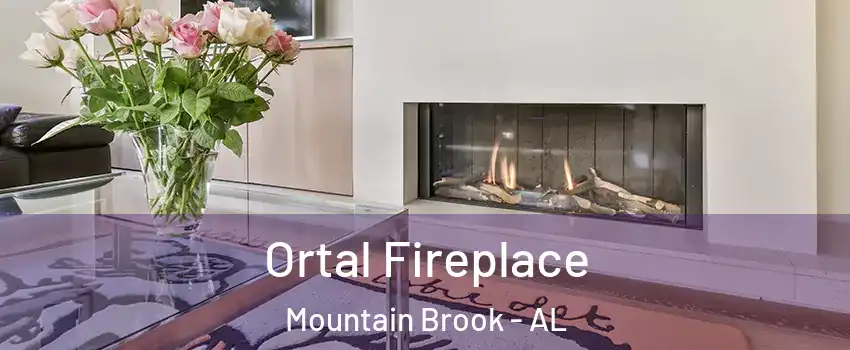 Ortal Fireplace Mountain Brook - AL