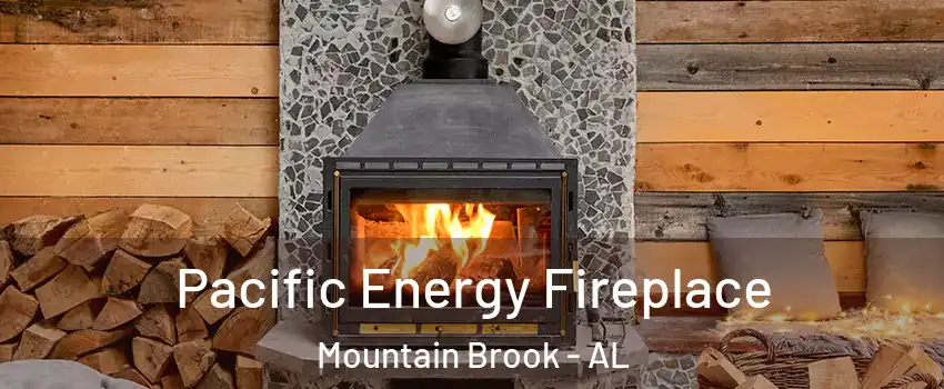  Pacific Energy Fireplace Mountain Brook - AL