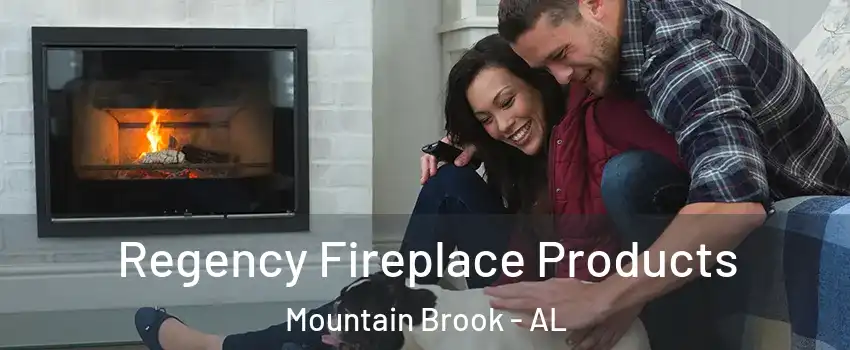  Regency Fireplace Products Mountain Brook - AL