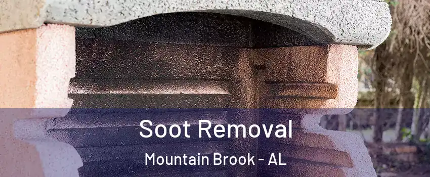 Soot Removal Mountain Brook - AL