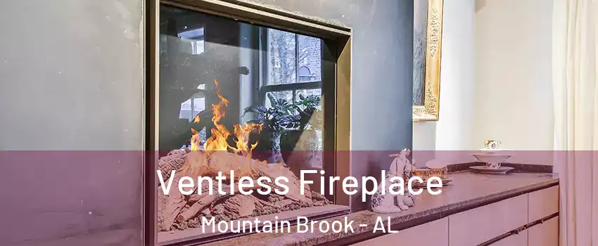  Ventless Fireplace Mountain Brook - AL